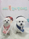 표나개반려애견미용실