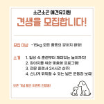 소곤소곤 애견유치원&애견호텔