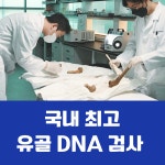 다우진유전자연구소