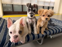 24시멍글몽글유치원&호텔링