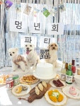 요요랜드