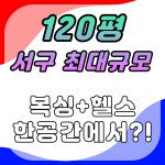 검단1994복싱