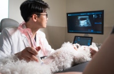 마음다해동물병원