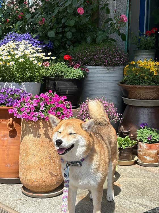 씨홀스카페 사진