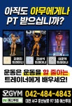 에스투짐