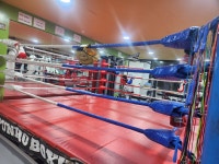 푸노복싱 사우관