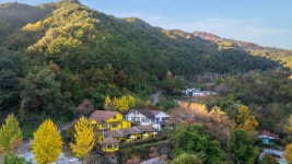 시나미68 애견 펜션