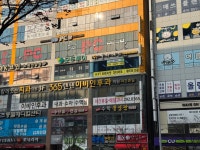 명지 수피티