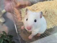 와우펫앤쥬 진주점