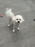 복희쌀롱