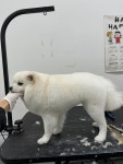 가드기멍