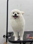 가드기멍
