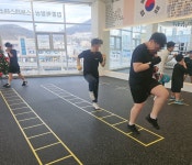 박미르복싱