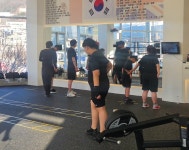 박미르복싱
