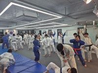 용인대정진유도관