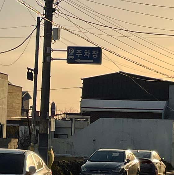리묘 사진