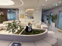 힘드림마취통증의학과의원