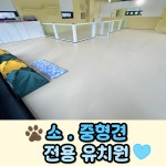 신난댕 애견유치원&호텔