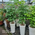 신나쏭코인노래연습장 송내점