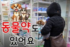 동탄제일큰약국