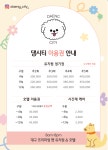 댕시티 애견유치원 호텔링