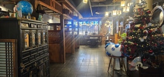 박씨물고온제비