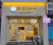 퍼피데이 애견미용실