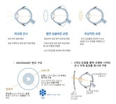 호평시네마안경원