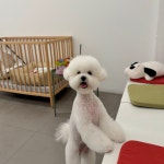 그루밍 아뜰리에
