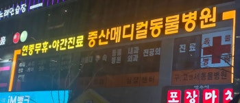 중산 메디컬 동물병원