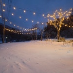 이디야커피 봉화다덕점