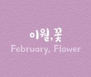 이월꽃