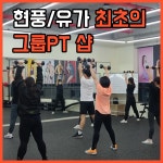 현풍 하이그룹피티