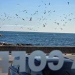 이디야커피 울진항점