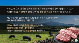 제주제돈