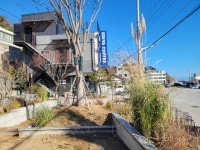 이디야커피 울진항점