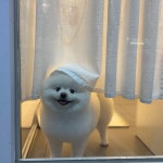 그루밍 아뜰리에