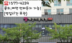 정애견미용학원 양산점