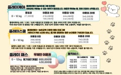 해피멍데이 강아지유치원 애견유치원
