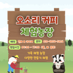 보령오소리커피농장