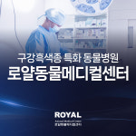 로얄동물메디컬센터 본원