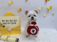 그루몽실