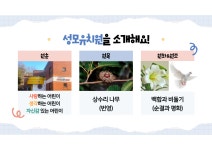 성모유치원