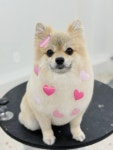 러버몽