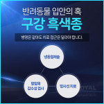 로얄동물메디컬센터 본원