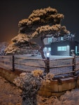 판바우