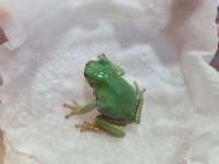 와우펫앤쥬 진주점