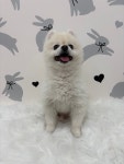 멍스토리