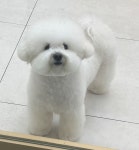 젤리펫살롱with아로마