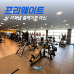 라이프블루 피트니스 사우점